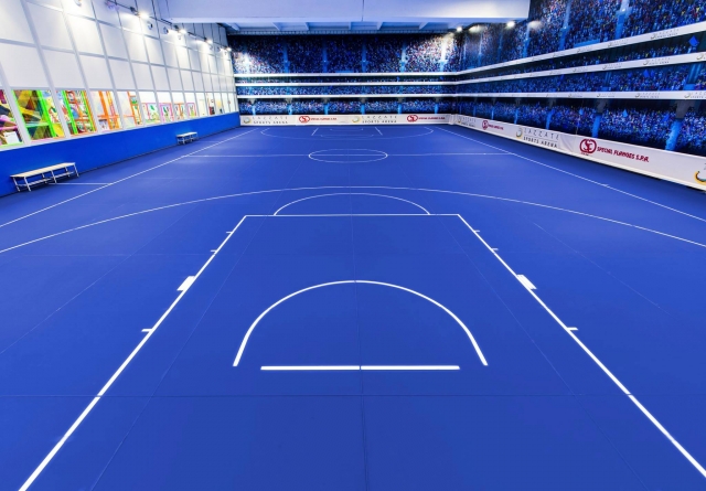 Our sports arena 