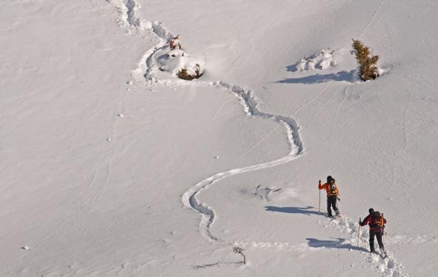 com os sapatos de neve vivem a aventura mais bonita na neve fresca 