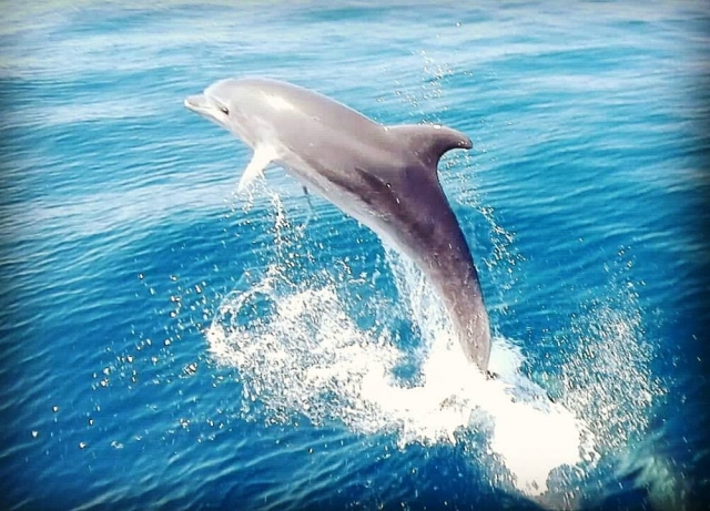 Uno dei nostri quotidiani avvistamenti