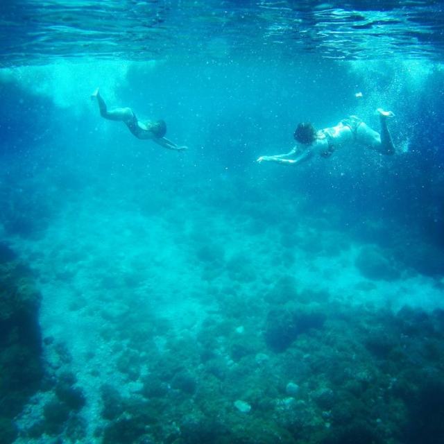 Fai sub con noi in queste acque