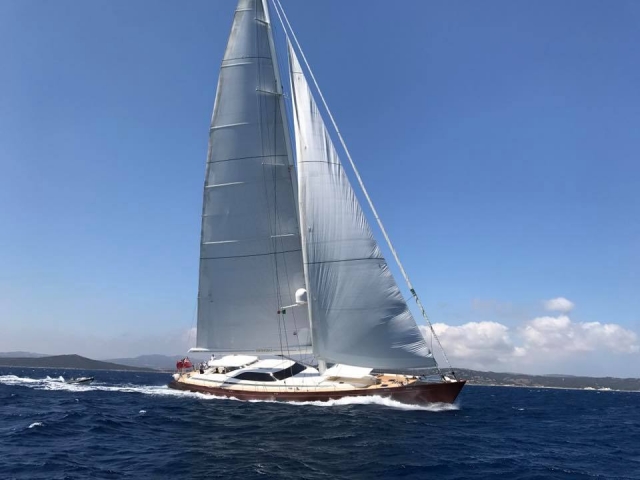 Vela maestosa