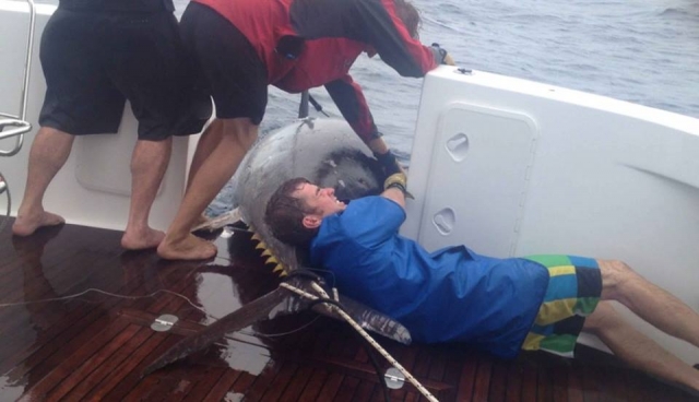  我们可以把它拉起来 