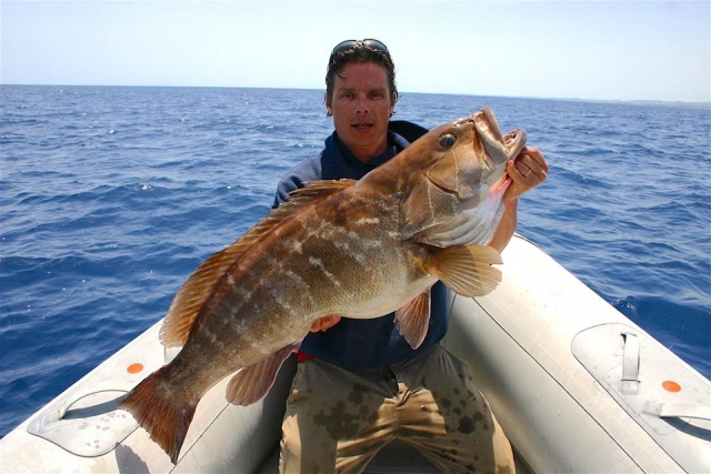  这是一个很大的 