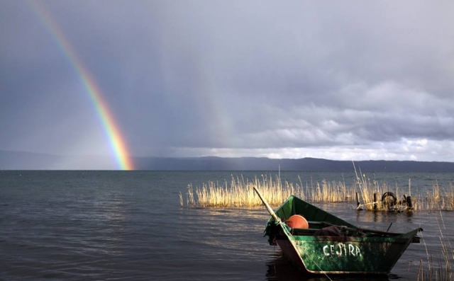  用这些观点钓鱼 