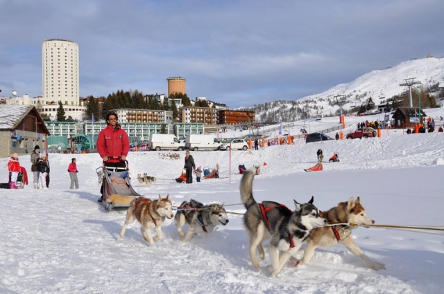  Dog sledding 