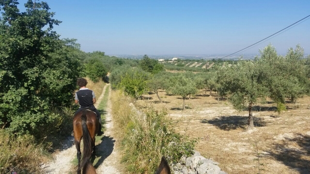I sentieri che non conoscevi