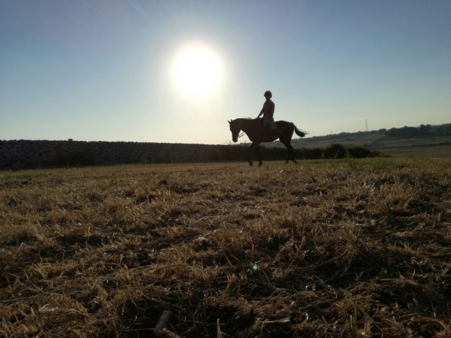 Bellissima giornata per passeggiare