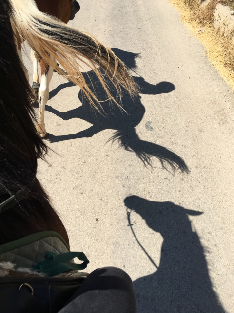  caminar bajo el sol 