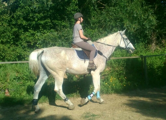 At a gallop 
