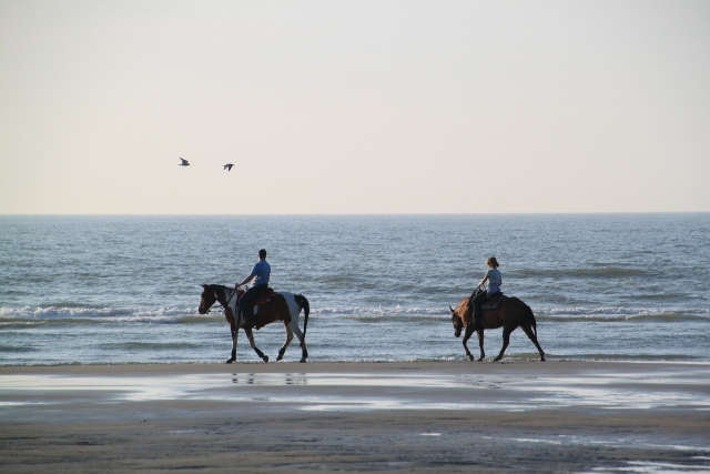  On the shoreline 