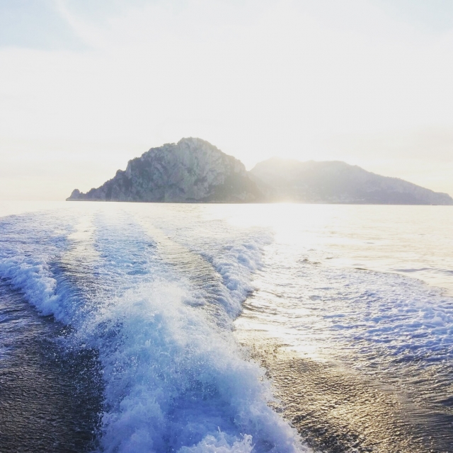  Entre les vagues et le vent 