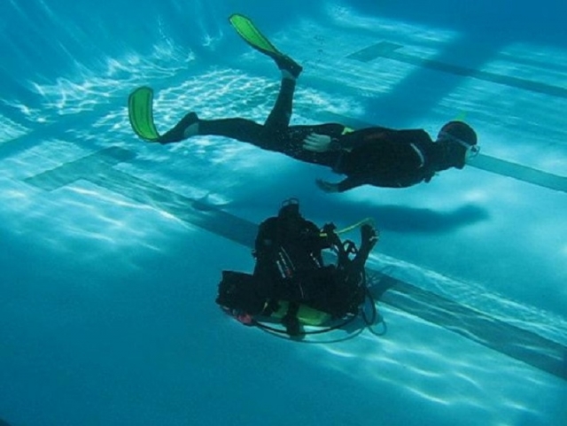  PADI Kurse 