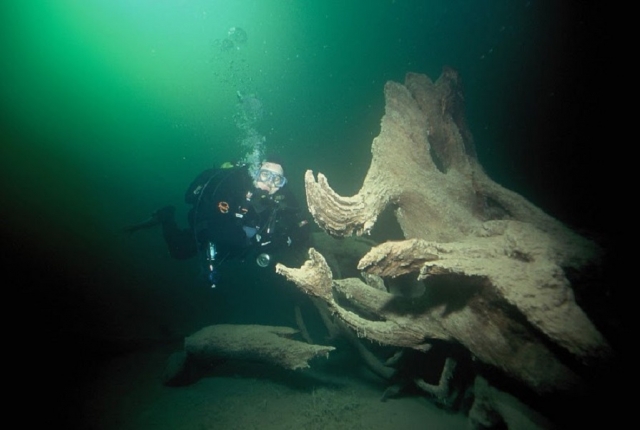  Tauchen in die Geheimnisse des Ozeans 