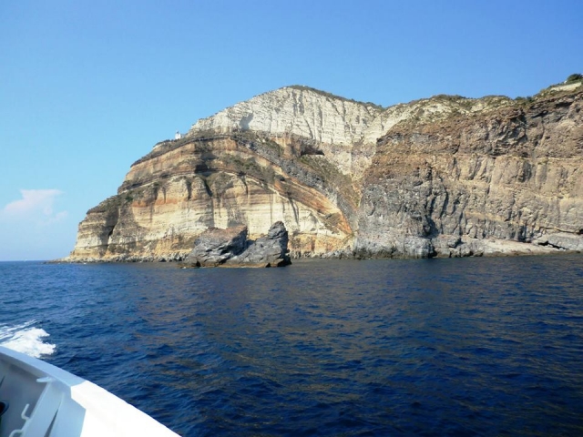  The beauties of the sea