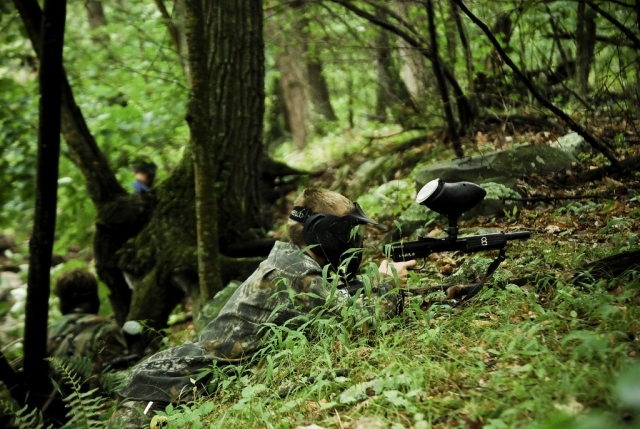 Tattiche di mimetizzazione