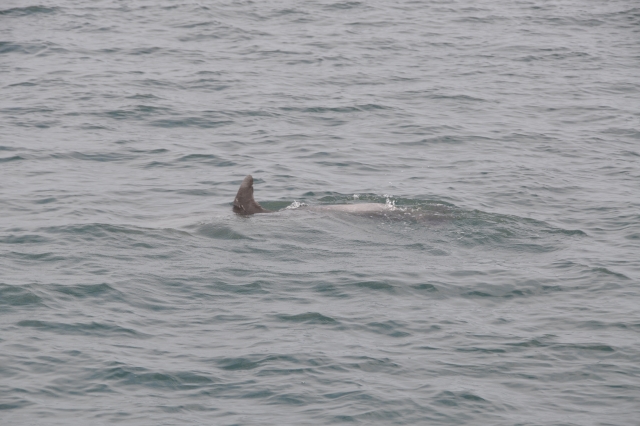  Die Schönheit der Natur 