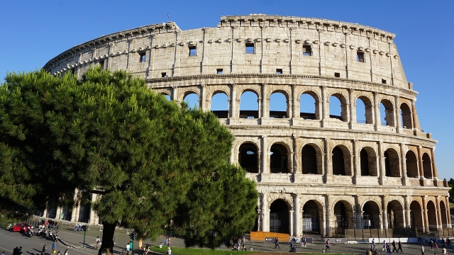  View of the Colosseum and the pines of Rome 