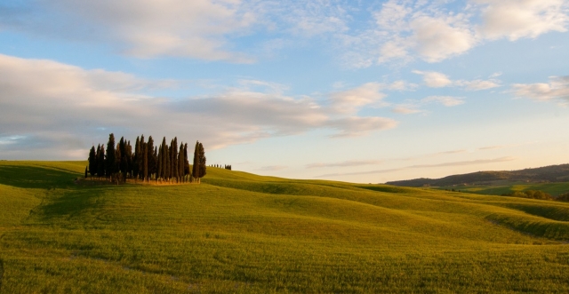  像画一样的风景 