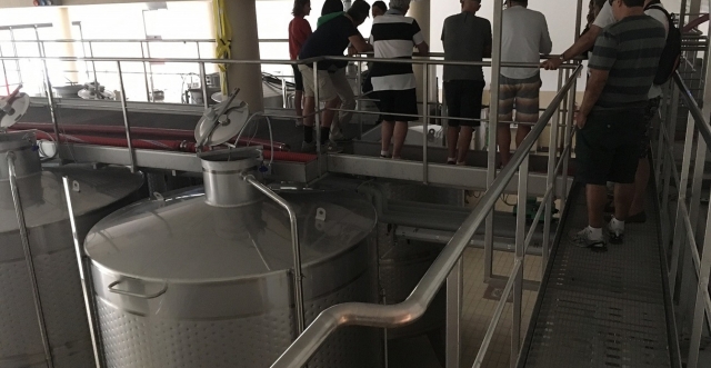  葡萄酒生产过程 