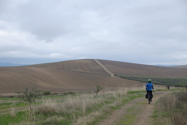 As campanhas salentinas 