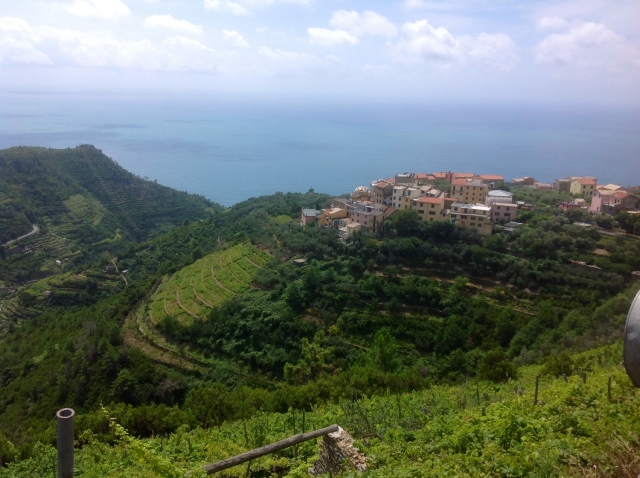  在 Volastra 的梯田上观看 