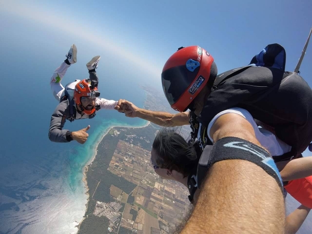  en Free Fall 