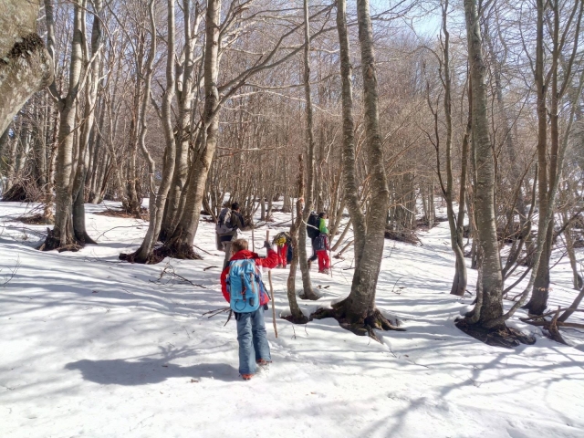 Ciaspolata nei boschi 