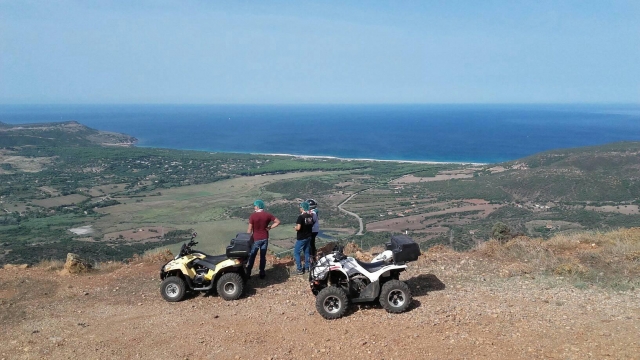 Contemplating the view 