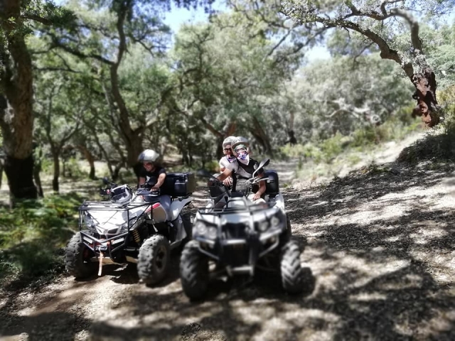  Quad in the middle of nature 