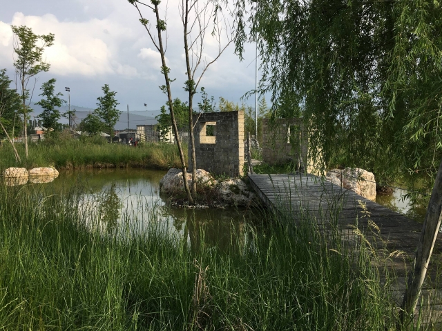  在大自然中玩耍