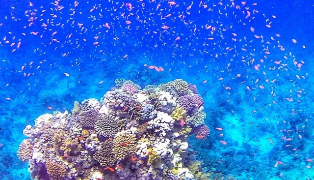  La magie des couleurs 