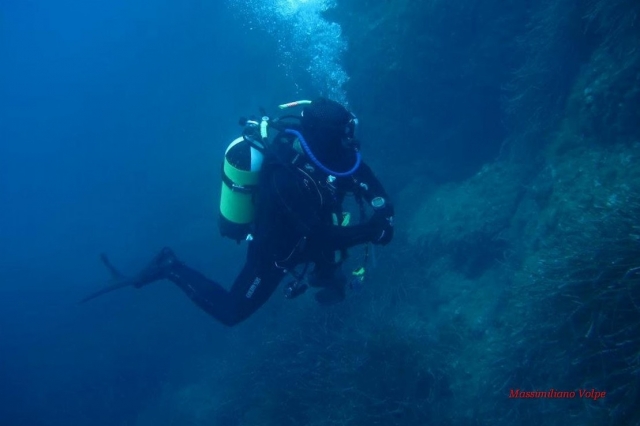  Dive with us! 
