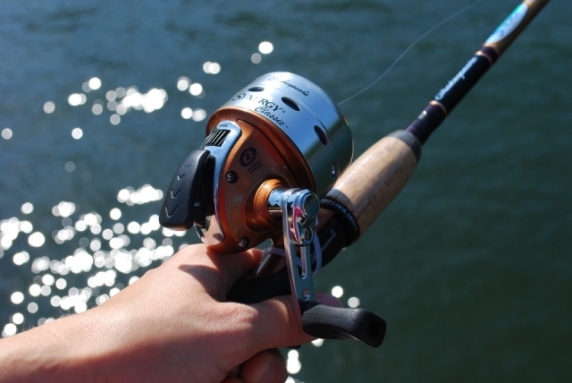  Our fishing rod dq 