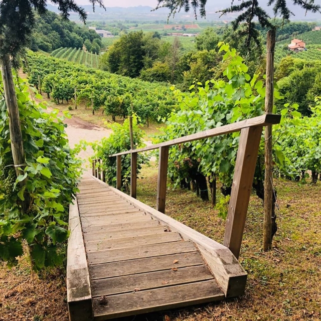  Das Prosecco-Tal 