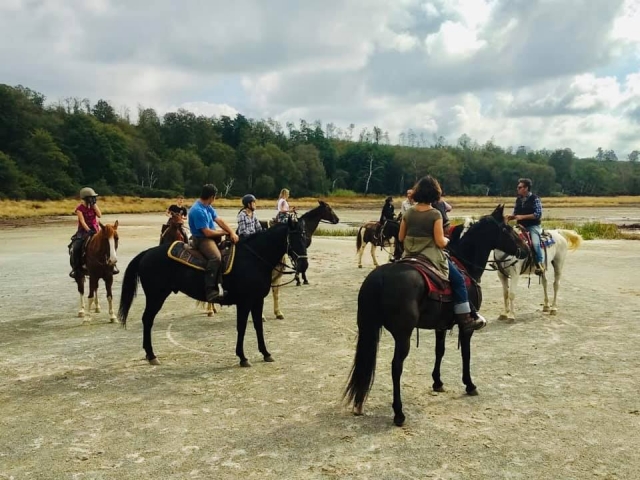 passeggiata di gruppo