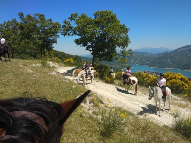 vieni a divertirti insieme a noi