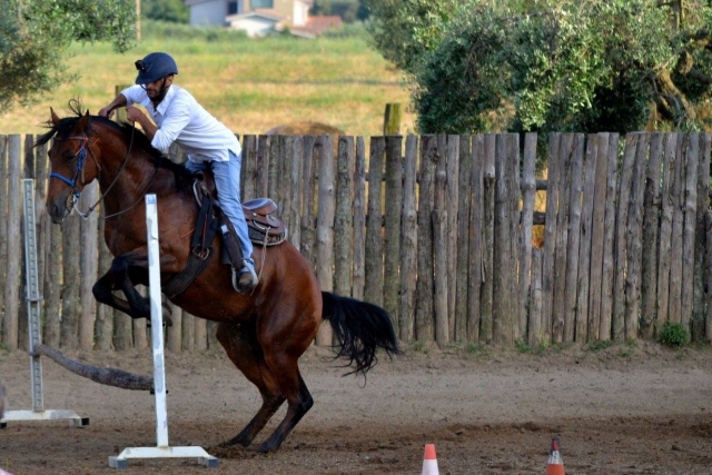passionate about this sport 