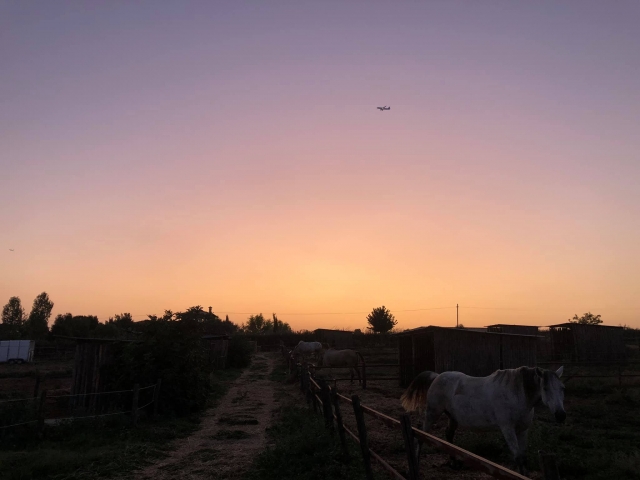  the equestrian club at sunset 