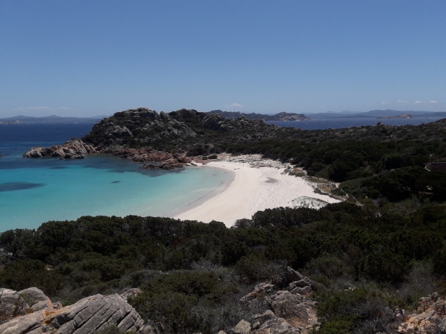  Plage rose de Budelli 