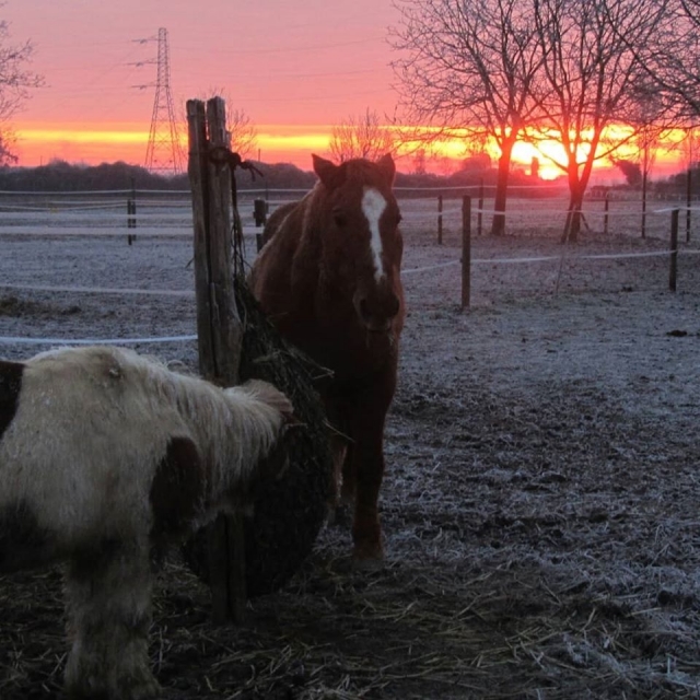  Sunset 