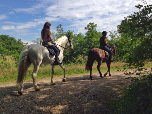 Horse Way