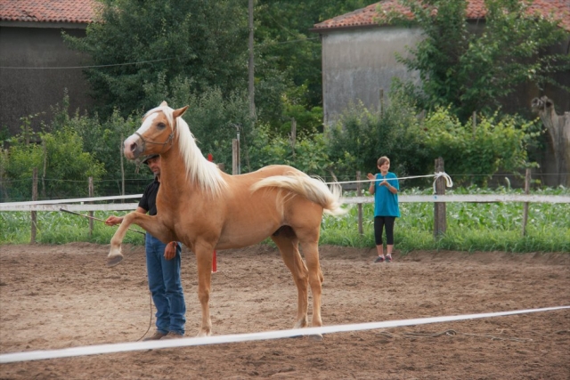  training 