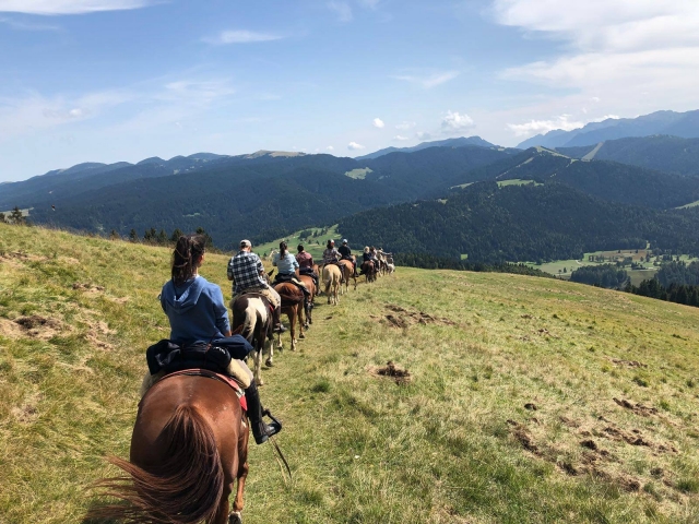  in the mountains 