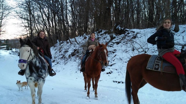  excursion on the snow 