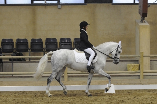  Ponyschule 