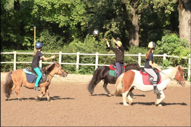  activités récréatives 