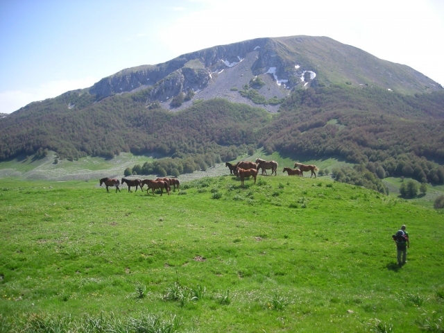  Monte Pollino 
