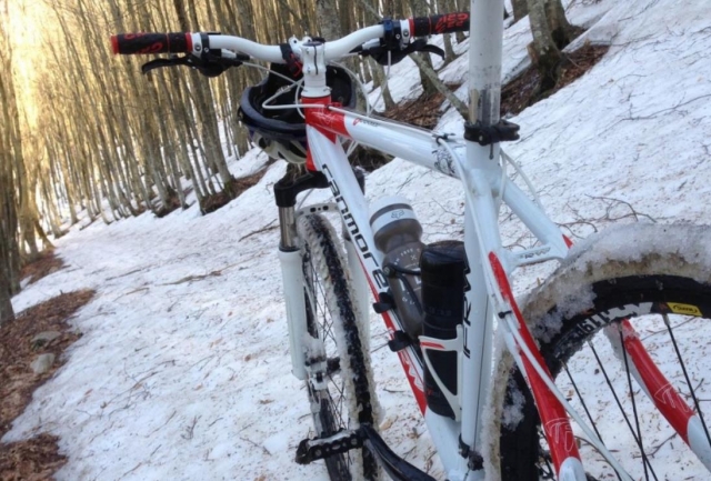mountainb bike in inverno