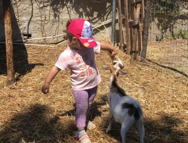 bimbi e cuccioli