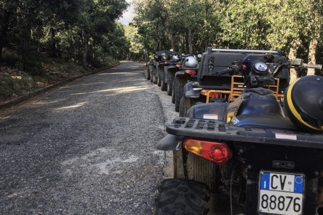  Quad out 
